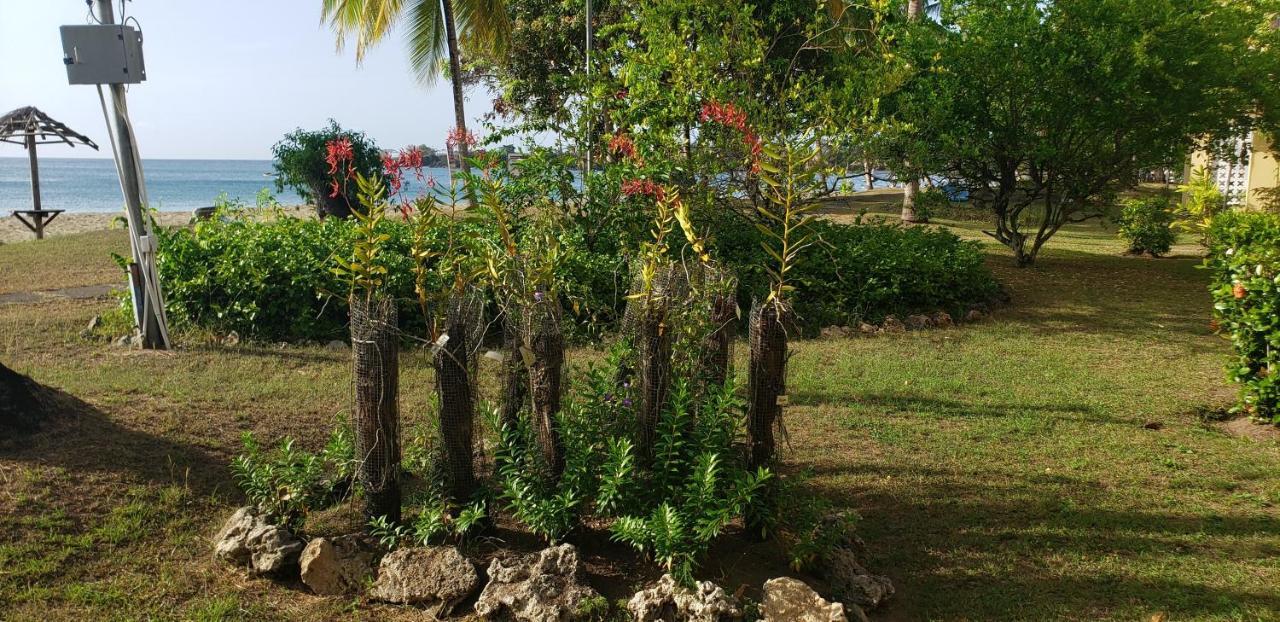 Starfish Tobago Hotell Black Rock Eksteriør bilde
