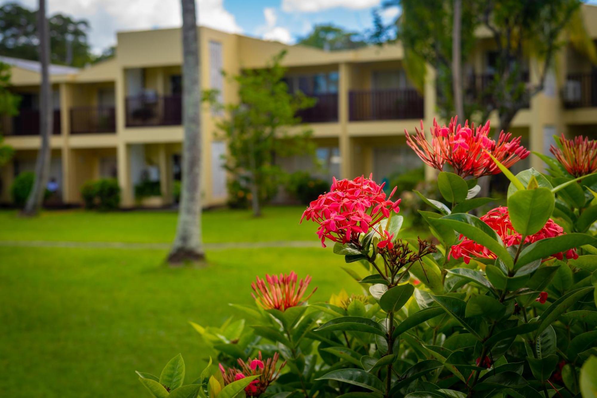 Starfish Tobago Hotell Black Rock Eksteriør bilde