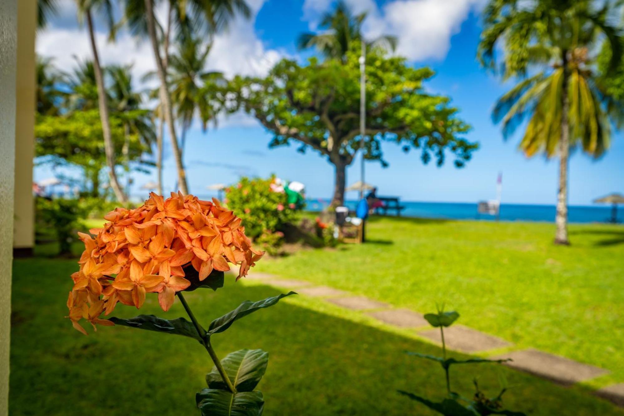 Starfish Tobago Hotell Black Rock Eksteriør bilde